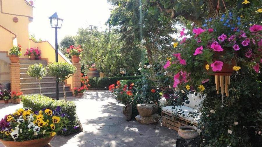 Bed And Breakfast Val Di Lupa Кастеллина-Мариттима Экстерьер фото